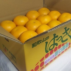 田口農園の八朔（約10kg）: めっけもん広場|【JAタウン