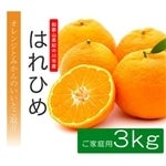 ypEƒpz͂Ђ߁@TCYsIʁ@S`2L@3kgy߂Lzy݂zyIWz