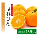 ypEƒpz͂Ђ߁@TCYsIʁ@S`2L@10kgy߂Lzy݂zyIWz