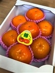 ߂L̂˂Ȃ`ijya̎R̊`iJLjzyiƂ˂킹jEjiЂ炽˂Ȃj`z