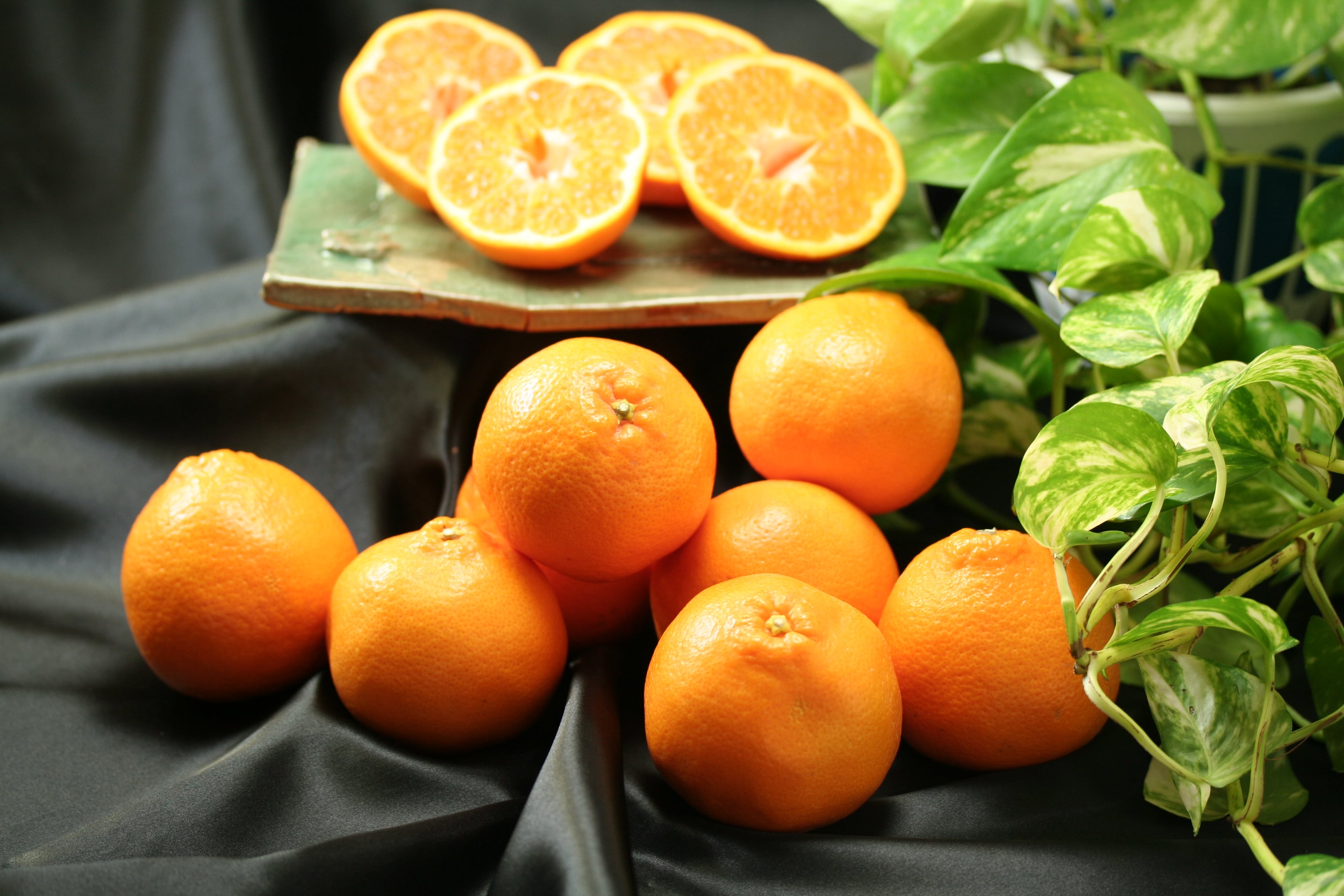 �͂�݁@�Q�����@�W�`�P�Q���y���ƒ�p�z�y�݂���z�y�߂�������L��z�y���k�z�y�ӊ��z