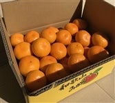 �߂�������L��� �n�� �݂���i��5kg�jS�`L�@�T�C�Y�����y���ƒ�p�z�y�����z�y�~�J���z�y�a�̎R�z�y���B�݂���z