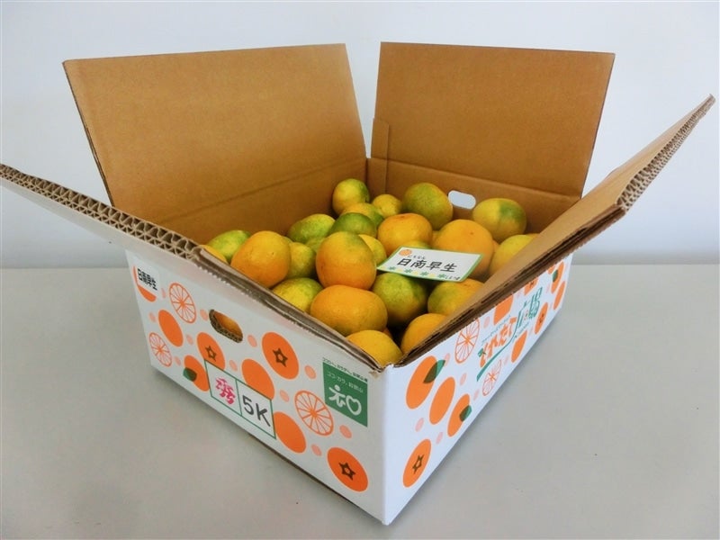 産地直送 通販 お取り寄せ【曽和農園】和歌山県下津の日南早生みかん 約5kg 【サイズ混合】: JAながみね とれたて広場|ＪＡタウン
