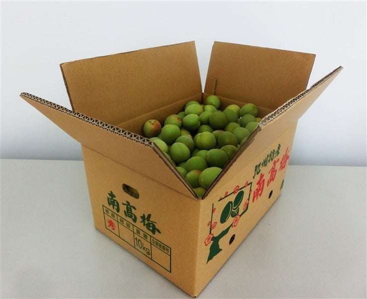 和歌山県の南高梅 約10kg 【Lサイズ】: JAながみね とれたて広場 