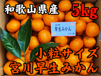 リピーター様に大人気和歌山宮川早生みかん小粒ミックス｜果物