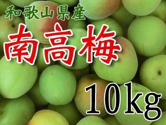 a̎R̓썂~ 10kg y3`4LTCYz