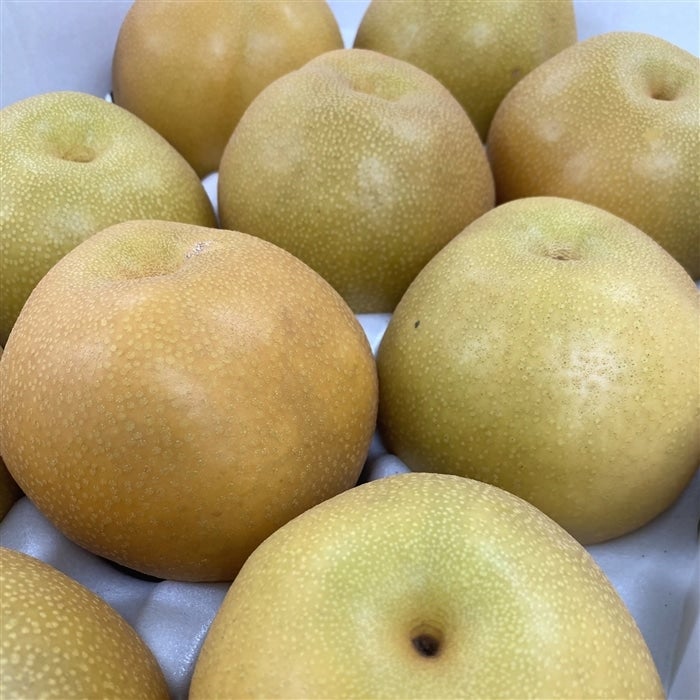 ○有田の梨 手提げ箱入り ○: みかんの里「ありだ」|【JAタウン