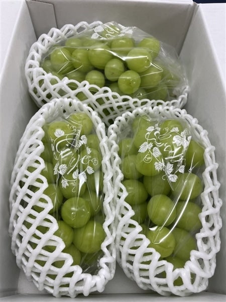 産地直送 通販 お取り寄せ○有田のシャインマスカット 約1.2ｋｇ【クール便】○: みかんの里「JAありだ」|ＪＡタウン