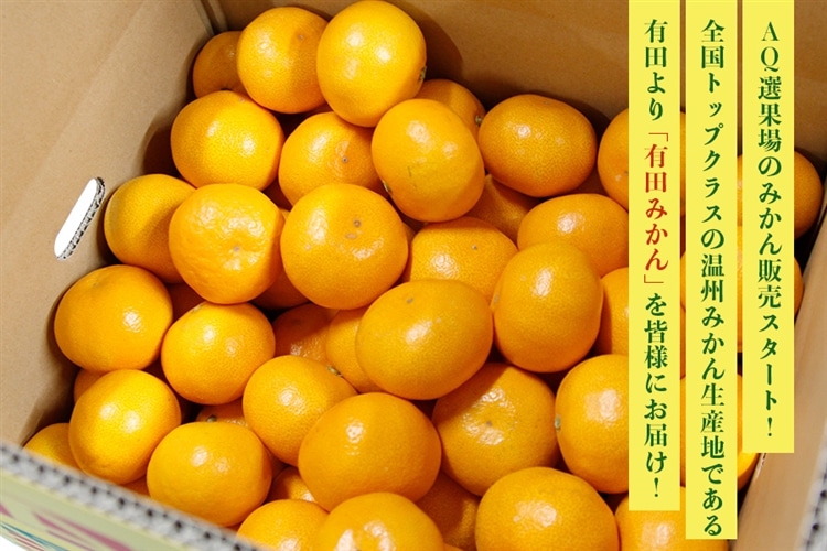 AQ選果場】ゆら早生みかん約3kg 秀S～L ※10月中旬～下旬にかけて順次