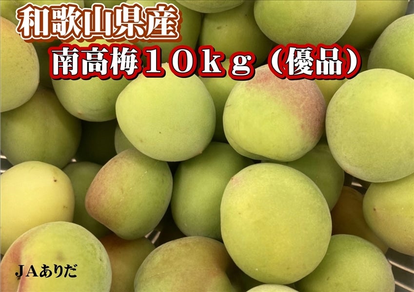 ●和歌山県産　南高梅10㎏（優品、2L～Lサイズ）●