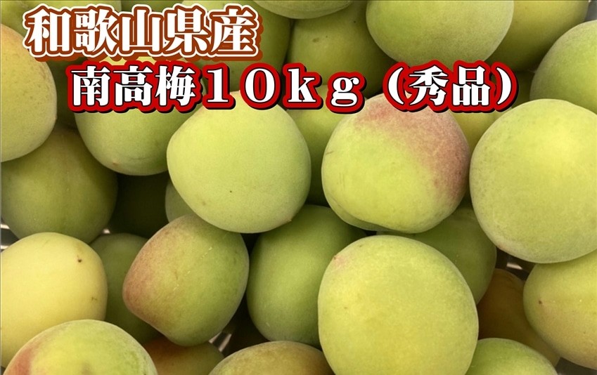 南高梅 秀品 3L～2Lサイズ 約10kg【和歌山県産】※6月10日頃から順次
