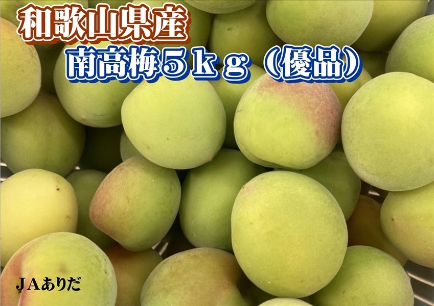 ○和歌山県産 南高梅5㎏（優品、2L～Lサイズ）○: みかんの里「JAあり