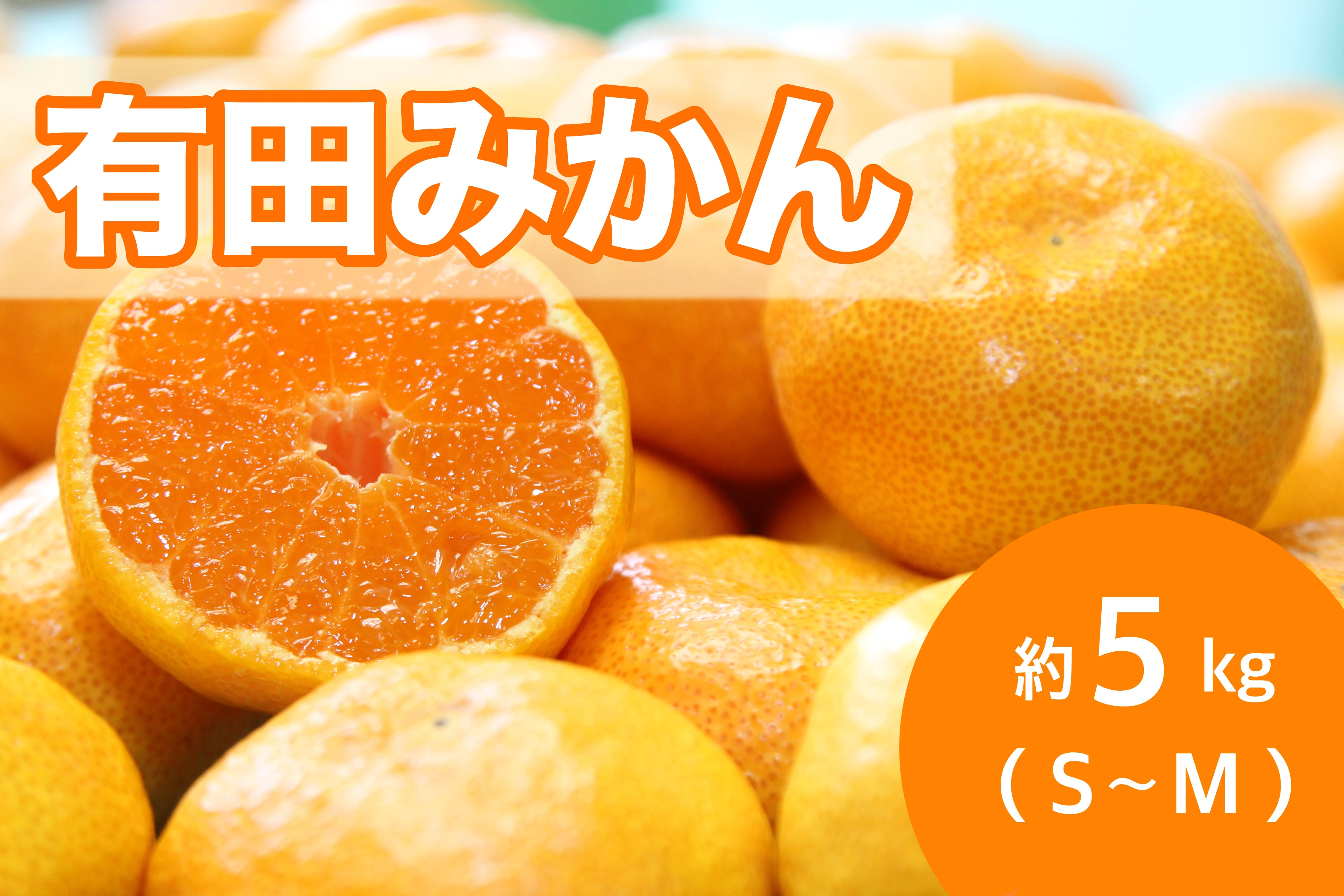 有田みかん約5kgS〜M 11月15日頃〜順次発送 【AQ選果場】