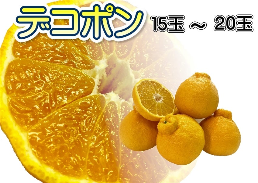 デコポン15玉～20玉 【AQ選果場】【贈答用】: みかんの里「あり