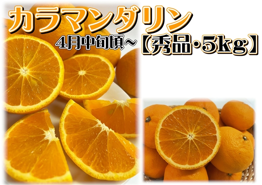 カラマンダリン秀品 約5kg（4月中旬頃～順次出荷予定） 【AQ選果場