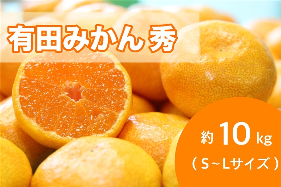 【AQ選果場】有田みかん約10kg 秀S〜Lサイズ ※10月中旬〜下旬にかけて順次発送予定