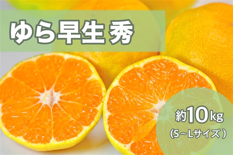 AQ選果場】ゆら早生みかん約10㎏ 秀S～Lサイズ ※11月上旬頃～順次発送