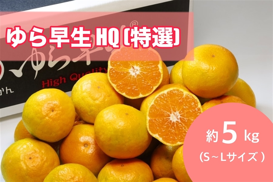 AQ選果場】ゆら早生HQ（特選）約5kg 秀S～Lサイズ ※10月中旬～下旬