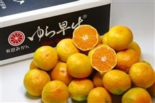 瑁HQiIj5kg@LyAQIʏz