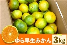 瑁݂ 3kg@LyAQIʏz