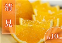 �����@��10kg�yAQ�I�ʏ�z��2�����{�����珇������