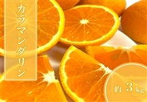 �J���}���_�����@��3kg�yAQ�I�ʏ�z��4����{���`�����o�ח\��