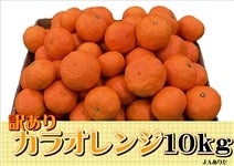 訳あり　カラオレンジ　10kg（4月中旬頃から順次出荷予定）