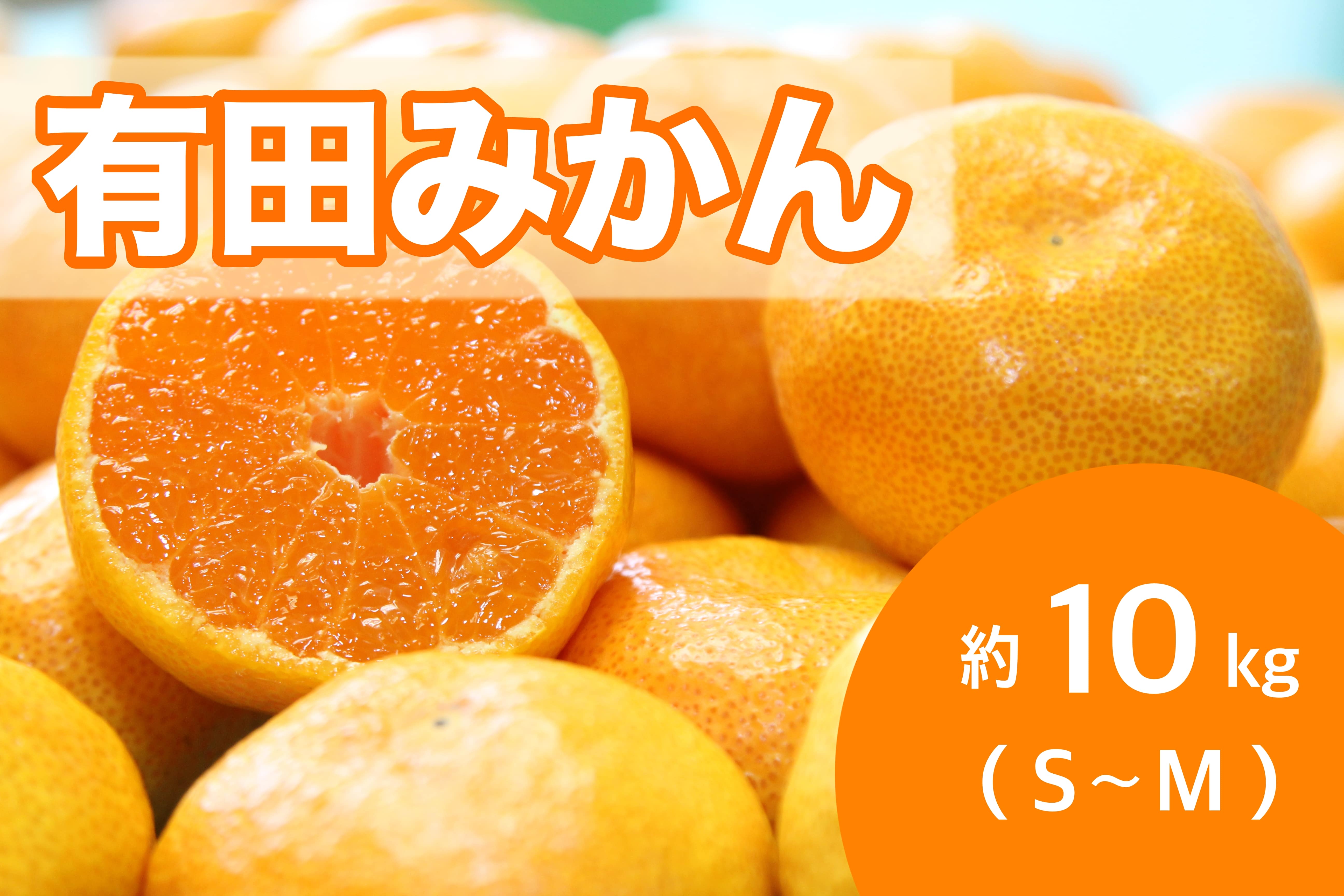 Lc݂10kgS`M@1115`@yAQIʏz