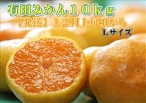 Lc݂10kg(LTCY)12{珇