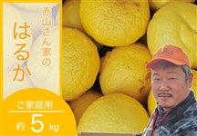 �y�L�c�Y�z�ԎR����̂��ƒ�p�u�͂邩�v��5�s�y���肾�����z