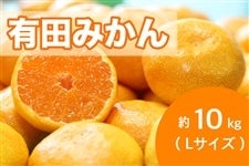 有田みかん約10kgL 12月15日頃〜順次発送【AQ選果場】