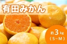 有田みかん約3kg S〜M 12月15日頃から順次発送【AQ選果場】