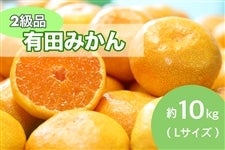 有田みかん約10kg(2級品)L 12月15日頃〜順次発送【AQ選果場】