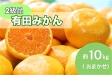 有田みかん約10kg(2級品) サイズおまかせ(S~L) 12月15日頃〜順次発送 【AQ選果場】