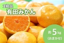有田みかん約5kg(2級品) サイズおまかせ(S~L) 12月15日頃〜順次発送 【AQ選果場】