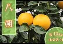 �󂠂蔪���10�s�@�yAQ�I�ʏ�z