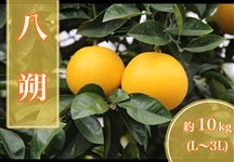 ����@��10�s�i�G�iL�`3L�j�yAQ�I�ʏ�z