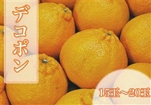 �f�R�|���@�G�i15�ʁ`20�ʁ@�yAQ�I�ʏ�z���Q�����{�����珇������