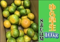 瑁݂10s@S`M@yAQIʏz