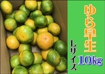 瑁݂10s@L@yAQIʏz