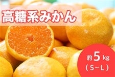 �yAQ�I�ʏ�z�����n�݂����5kg�iS~L�j�y1�������{����菇�������z