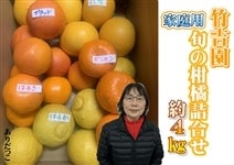 �|�g���@�i�ƒ�p�j�{�̊��k�l�ߍ��킹��4�s�y���肾�����z