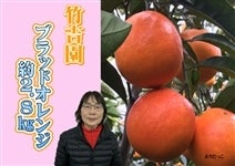 �|�g���@�u���b�h�I�����W��2.8�s�y���肾�����z