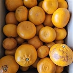 �󂠂肹�Ƃ���10�s