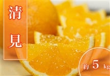 �����@��5kg�y�`�p�I�ʏ�z��2�����{�����珇������