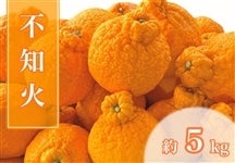 不知火 約5kg【AQ選果場】※2月中旬頃から順次出荷