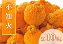 �s�m�΁@��10�����yAQ�I�ʏ�z��2�����{�����珇������