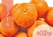 �Z�~�m�[���I�����W�@��10kg�yAQ�I�ʏ�z��4�����{�����珇������