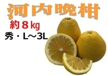 ✩みずさん 様✩農薬不使用 河内晩柑 8キロ×２箱 ✩みずさん 様✩農薬不使用 河内晩柑 8キロ×2箱 楽天市場】河内 晩 柑