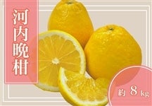 �͓��ӊ��@��8�s�yAQ�I�ʏ�z��4�����{�����珇������